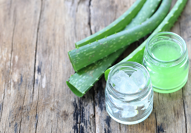 pieces of aloe vera plant sliced up and resting on a table.